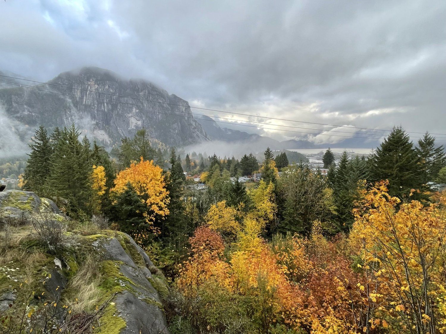 Autumn forest below the North Shore mountains
